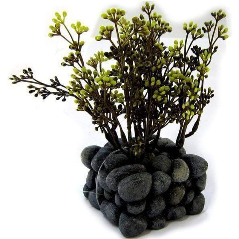Fluval Chi Aquarium Plant with Pebble Base Ornament