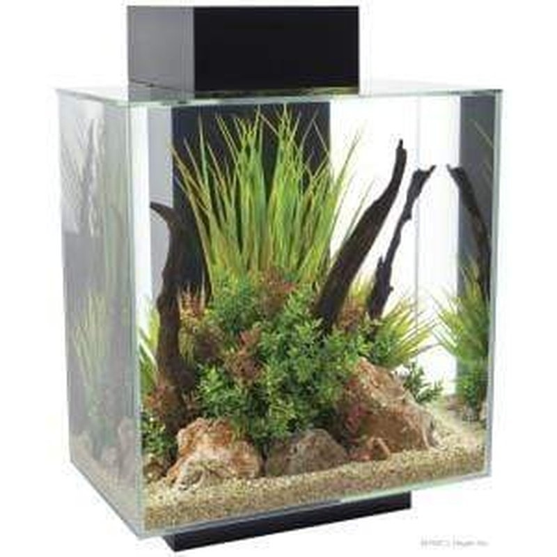 Fluval EDGE 2.0 LED Aquarium Black 46L