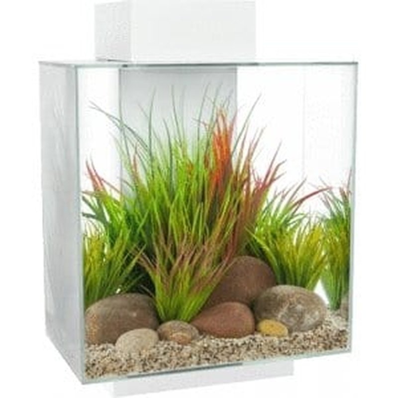 Fluval EDGE 2.0 LED Aquarium White 46L