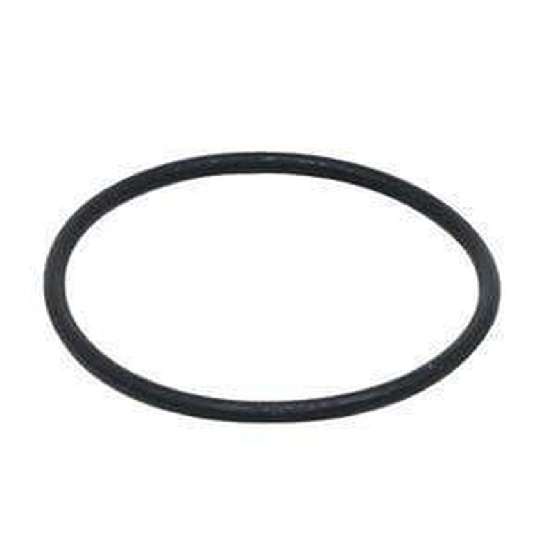 Fluval FX4 Motor Seal Ring (A20211)