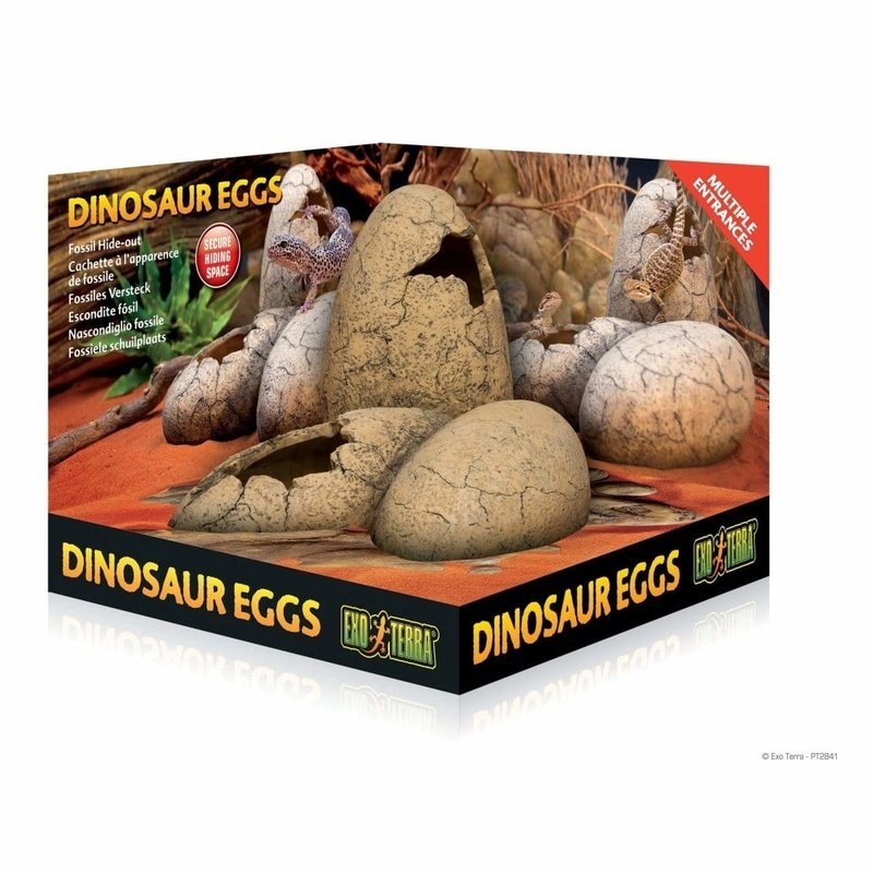 Exo Terra Dinosaur Eggs Hide Out