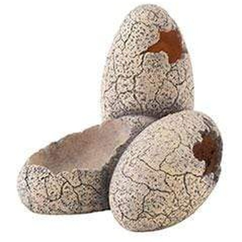 Exo Terra Dinosaur Eggs with Water Dish