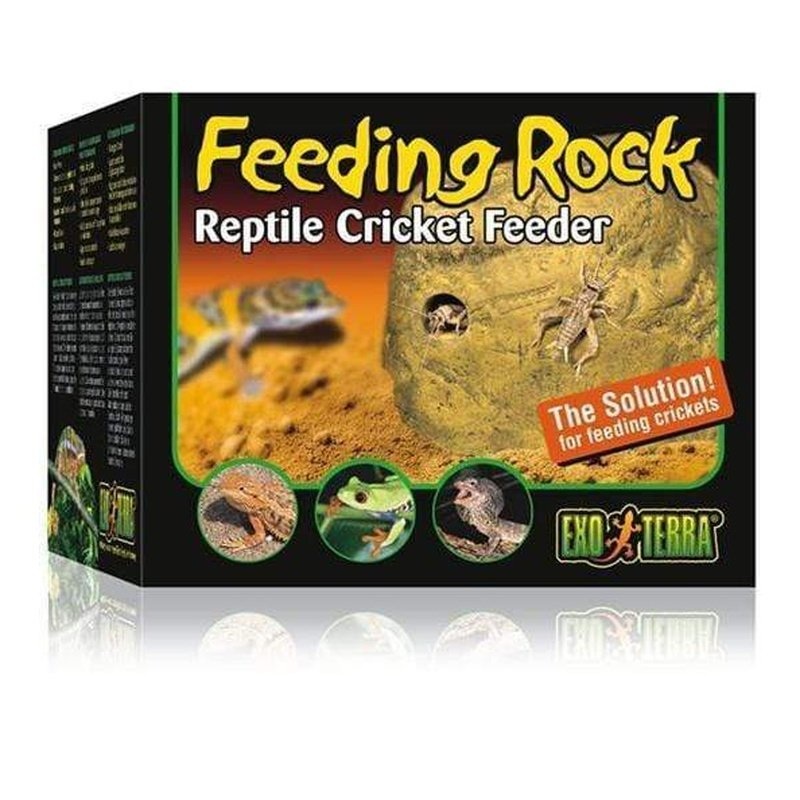 Exo Terra Feeding Rock / Reptile Cricket Feeder