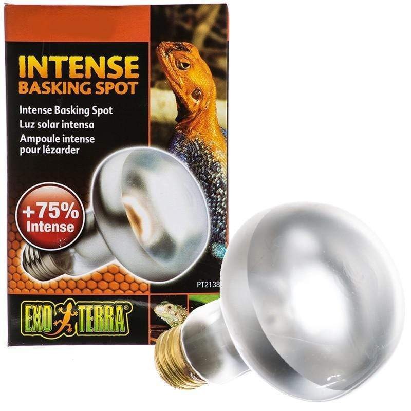 Exo Terra Intense Basking Spot