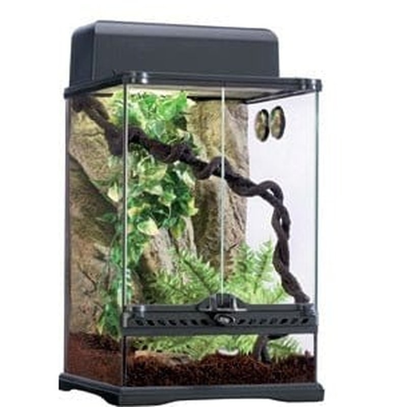 Exo Terra Rainforest Habitat Kit Small 30 x 30 x 45cm