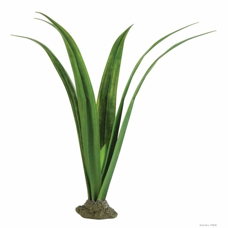 Exo Terra Smart Plant Pandanus