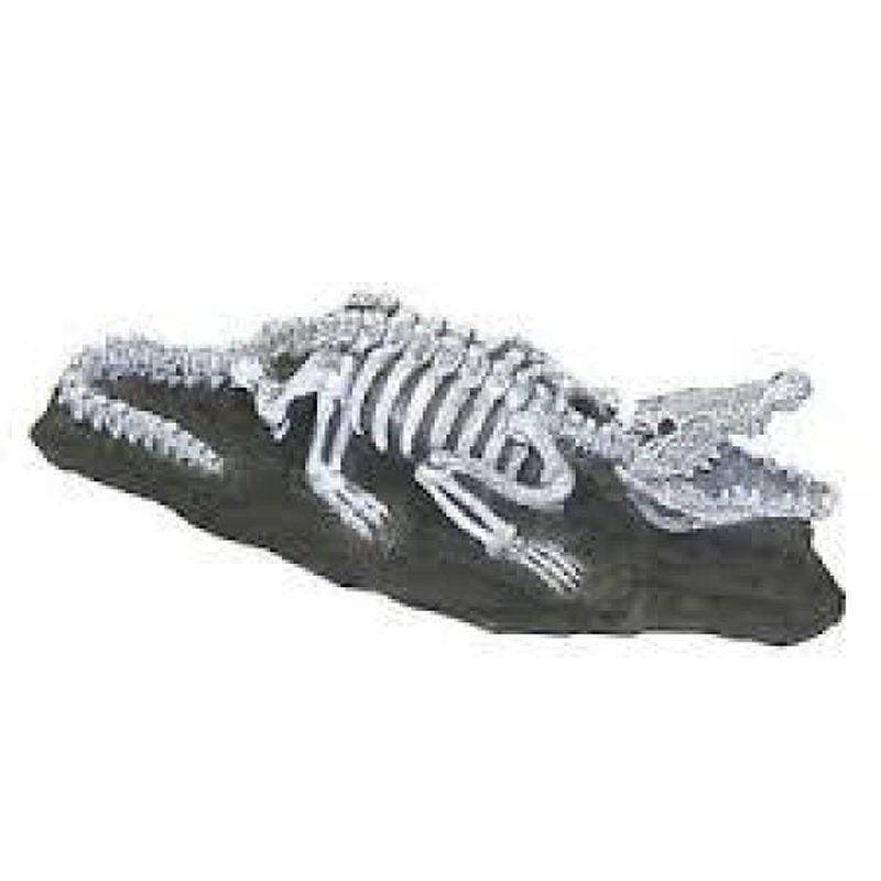 Fauna Nile Crocodile Fossil