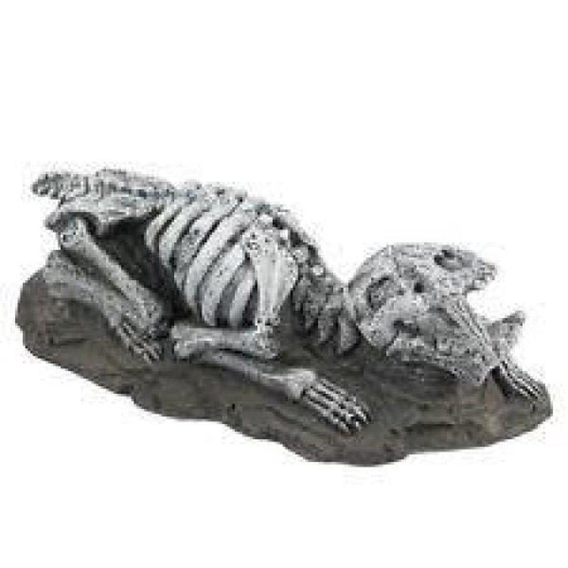 Fauna Sabre Tooth Tiger Fossil