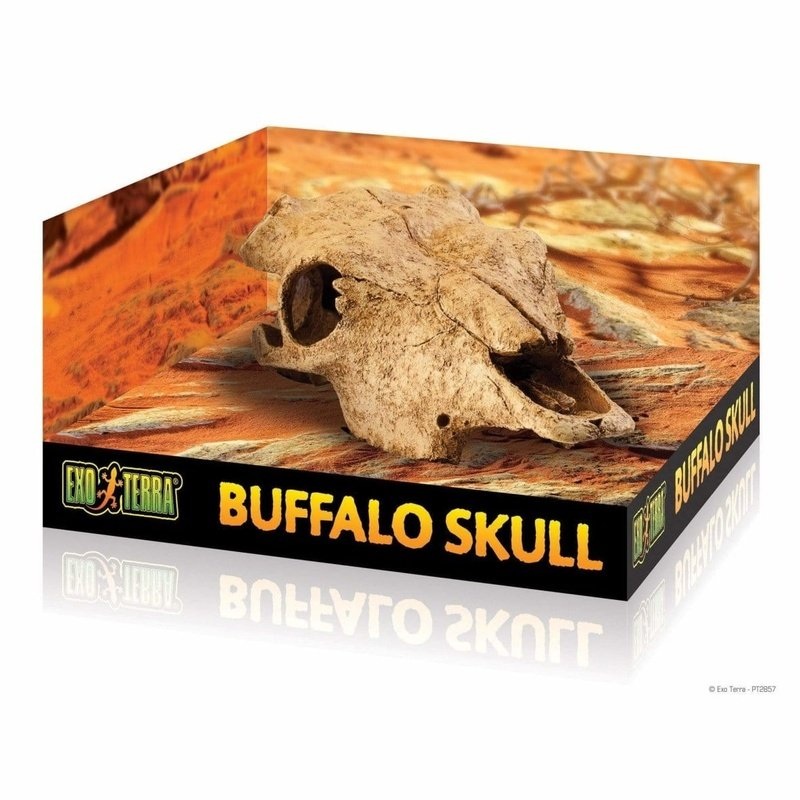Exo Terra Buffalo Skull Hiding Place Medium