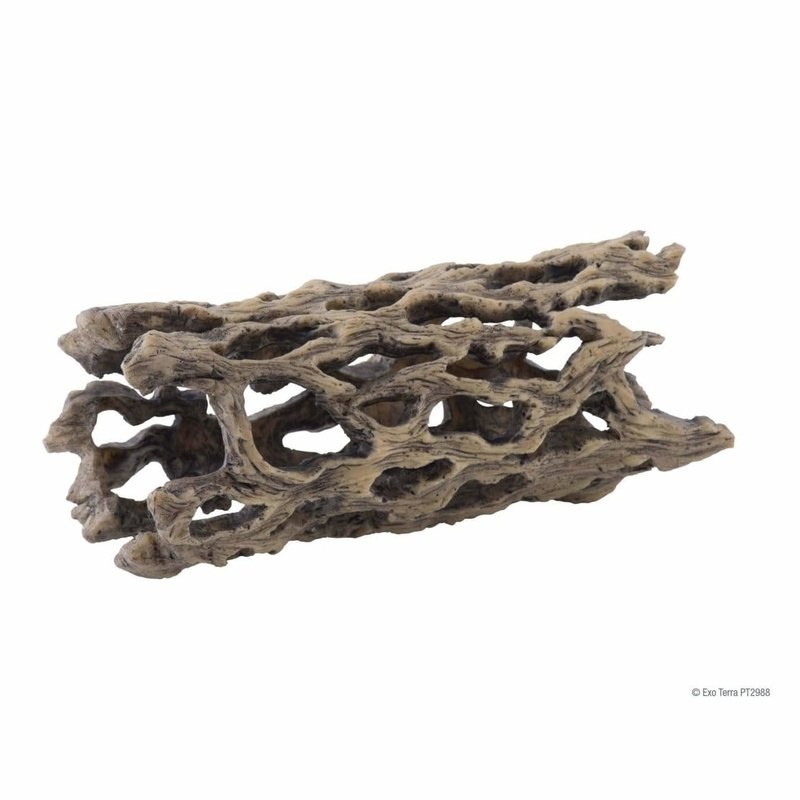 Exo Terra Cholla Cactus Skeleton