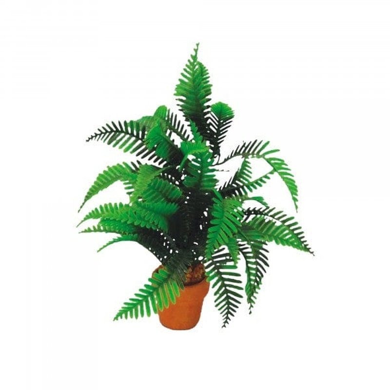Eco Tech Desert Fern 20cm