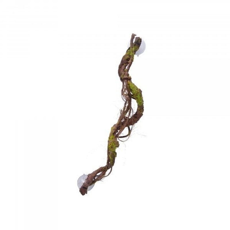 Eco Tech Multiple Vines with Moss & Lichen 60cm