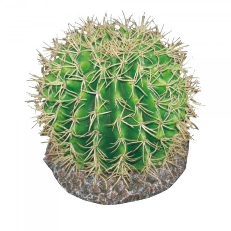 Eco Tech Pineapple Cactus