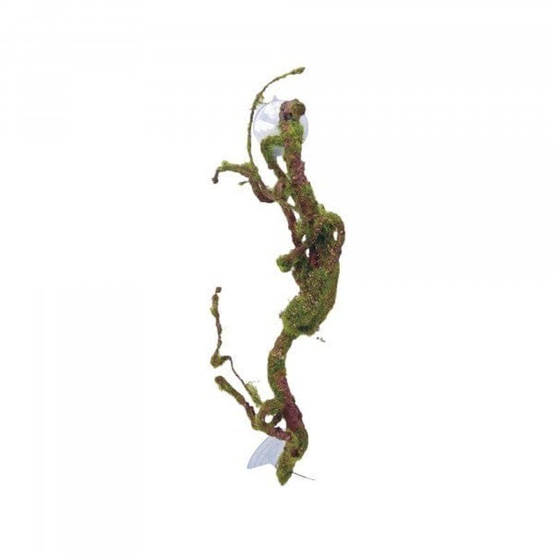 Eco Tech Twisted Vine with Moss Ball 40cm