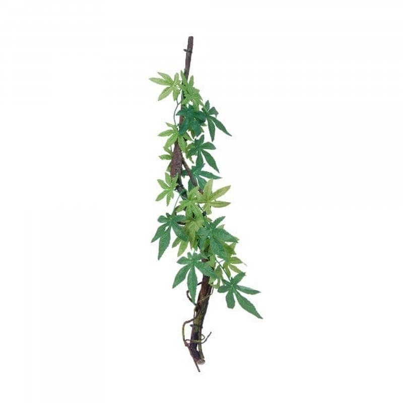 Eco Tech Vine with Albuliton Growth