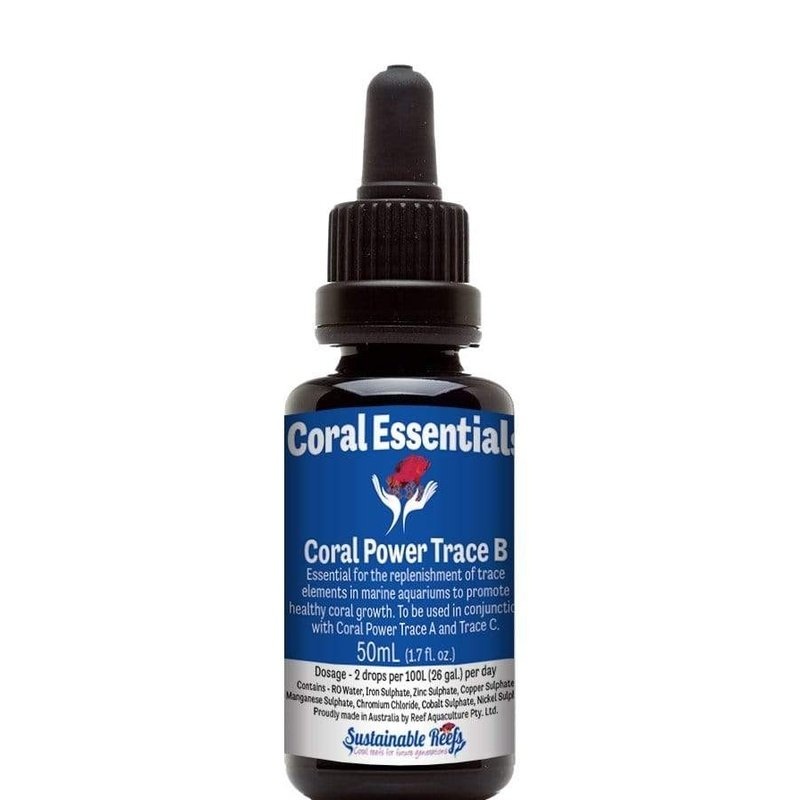 Coral Essentials Coral Power Trace B