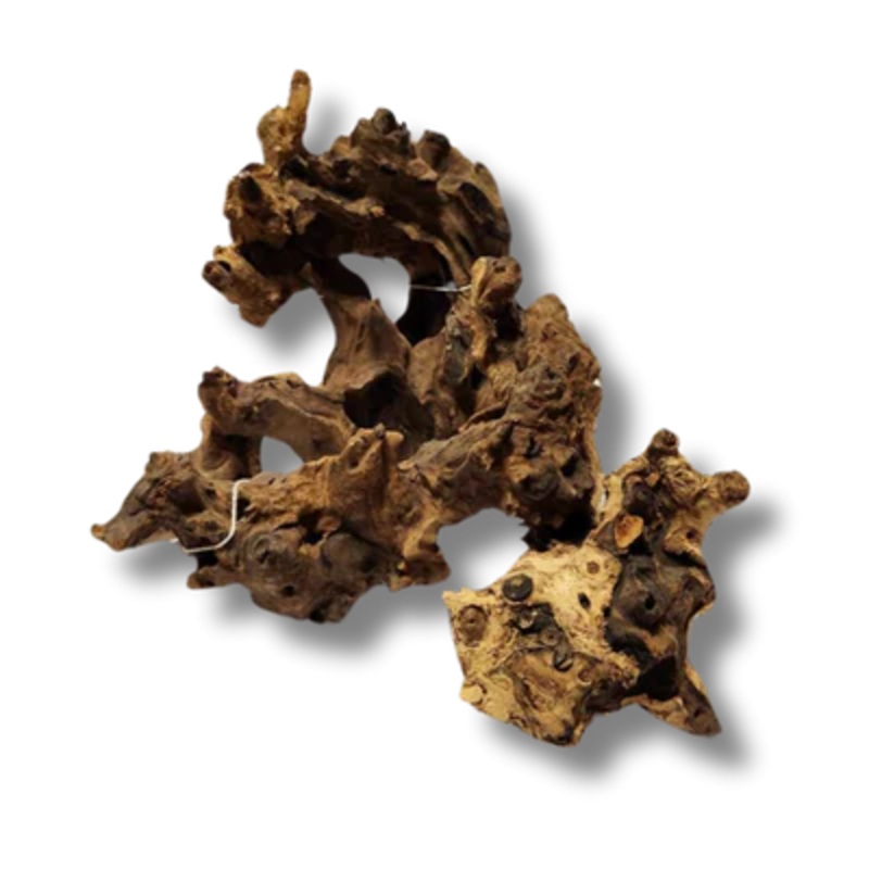 Coral Wood Small - 10-15cm