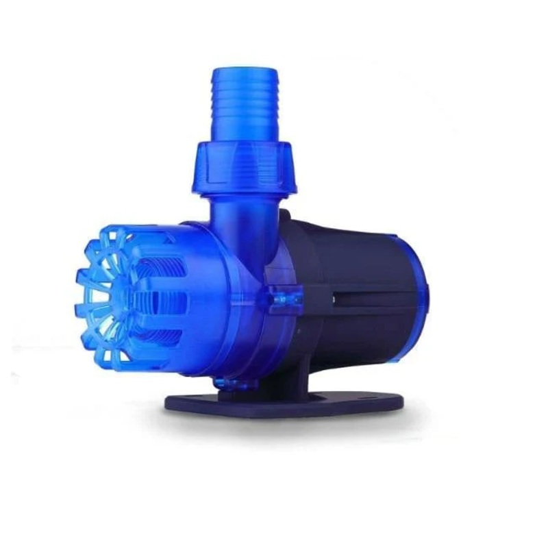 Dalua Great White Return Pump