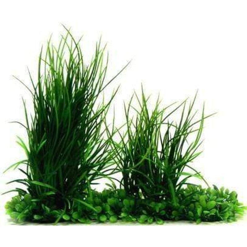 Amazon Jungle Phoenix Grass & Mini Hygro Pad