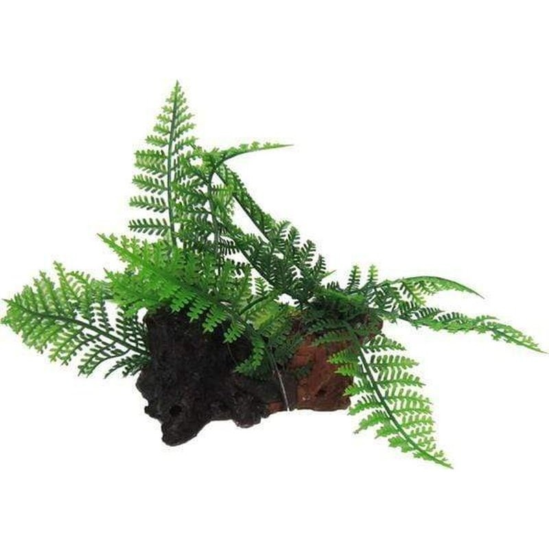 Amazon Jungle Twin Ferns on Log