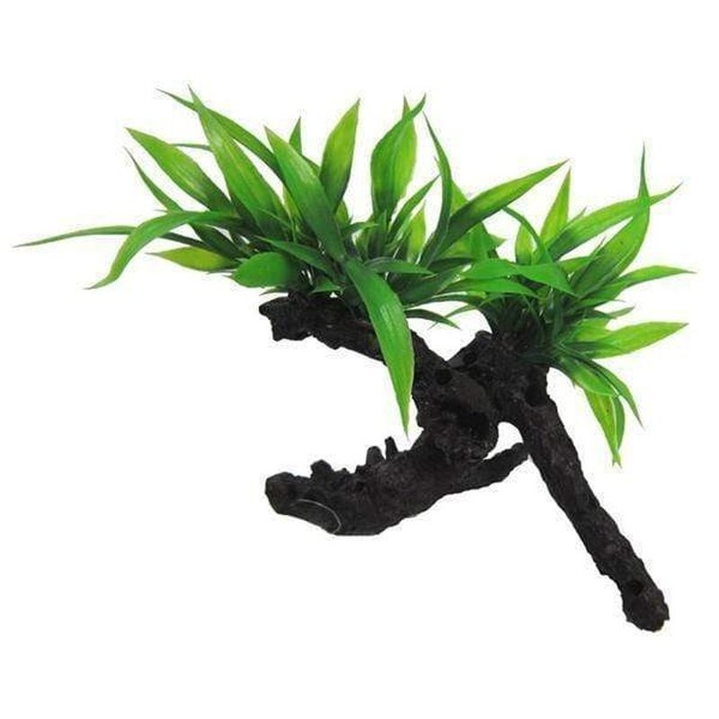 Amazon Jungle Twin Indo Fern on Log