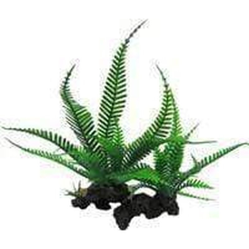 Amazon Jungle Twin Lace Fern