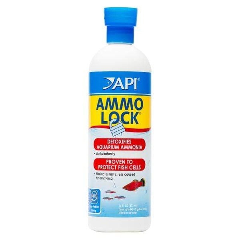 API Ammo Lock