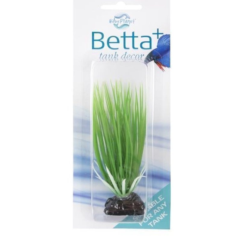 Blue Planet Betta+ Mini Plant Grass 10cm