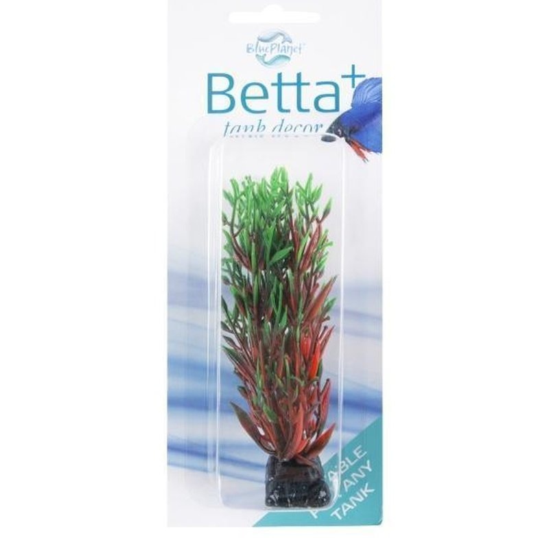 Blue Planet Betta+ Mini Plant Green & Red 10cm