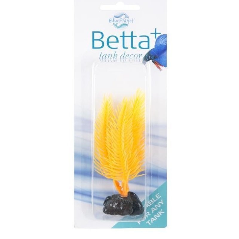 Blue Planet Betta+ Mini Plant Yellow 8cm