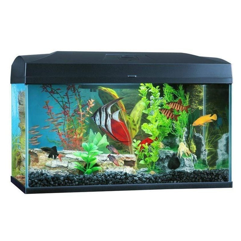 Blue Planet Classic 50 Aquarium (50L) with LED
