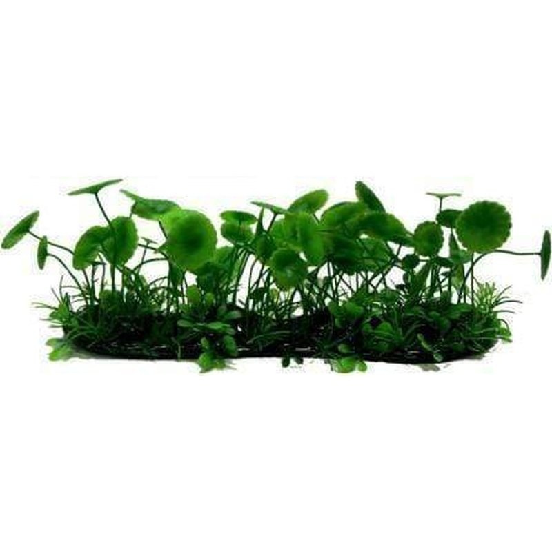 Amazon Jungle Banana Lily Covered Pad