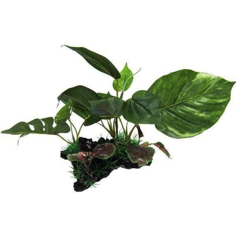 Amazon Jungle Giant Monsterio on Log 15cm