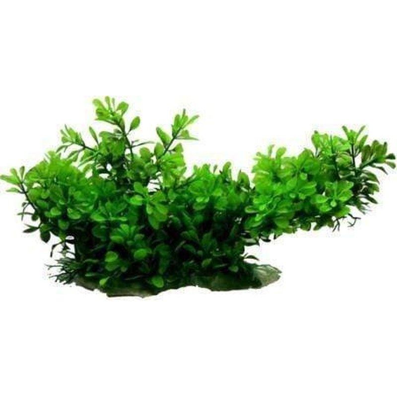 Amazon Jungle Hygro Branch Log Large