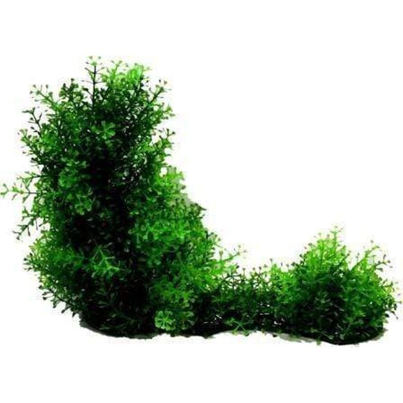 Amazon Jungle Hygro Covered Log Extra Tall