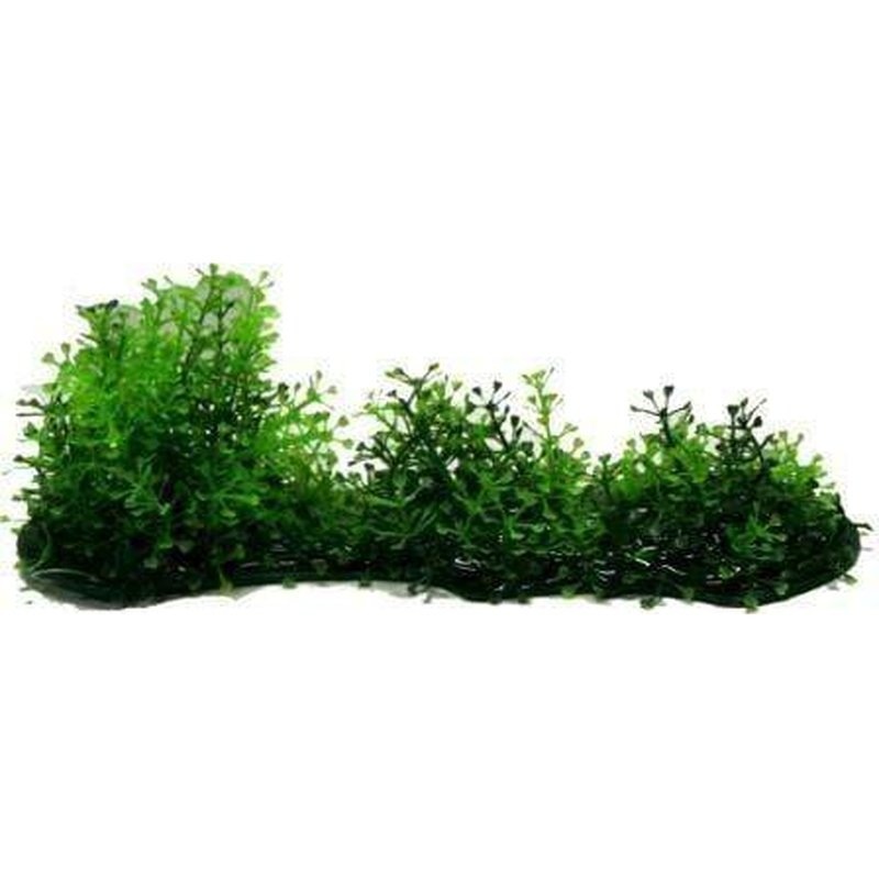 Amazon Jungle Hygro Covered Log Short