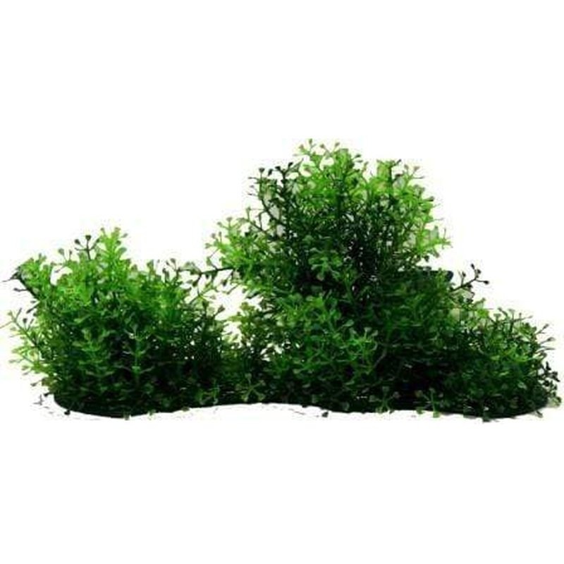 Amazon Jungle Hygro Covered Log Tall