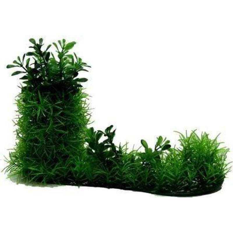 Amazon Jungle Hygro & Micro Sword Covered Log