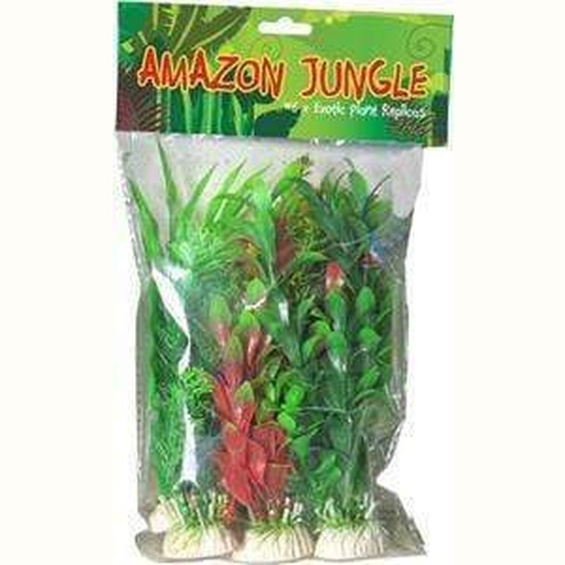Amazon Jungle Mixed Plants 6 Pack