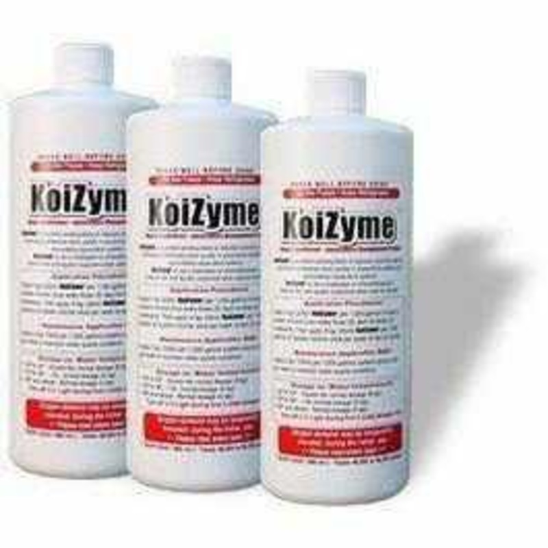 Koizyme