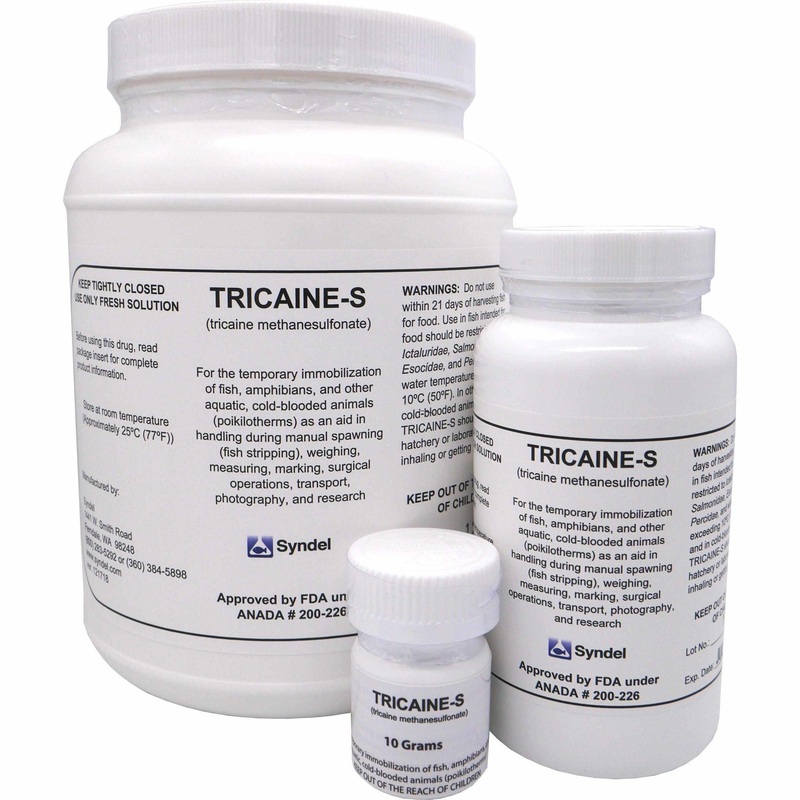 Syncaine (Tricaine-S) (MS 222) Fish Anesthetic
