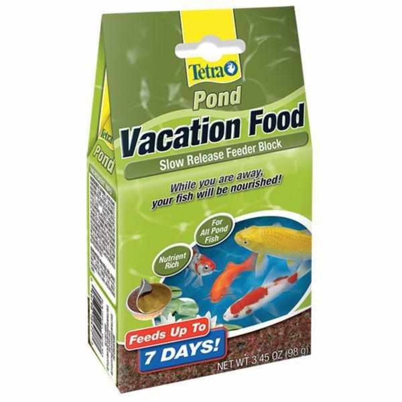 Vacation Food