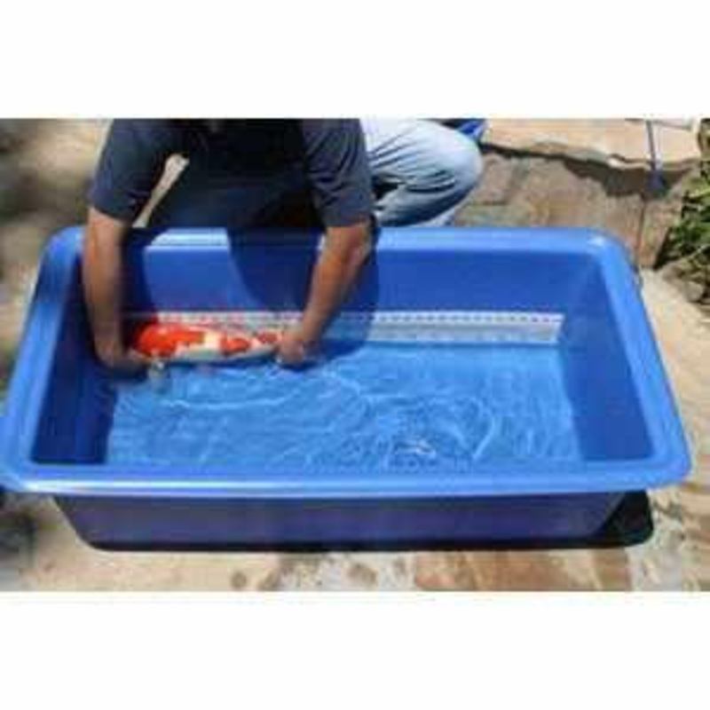 Matala Koi Measuring Tank - 180L