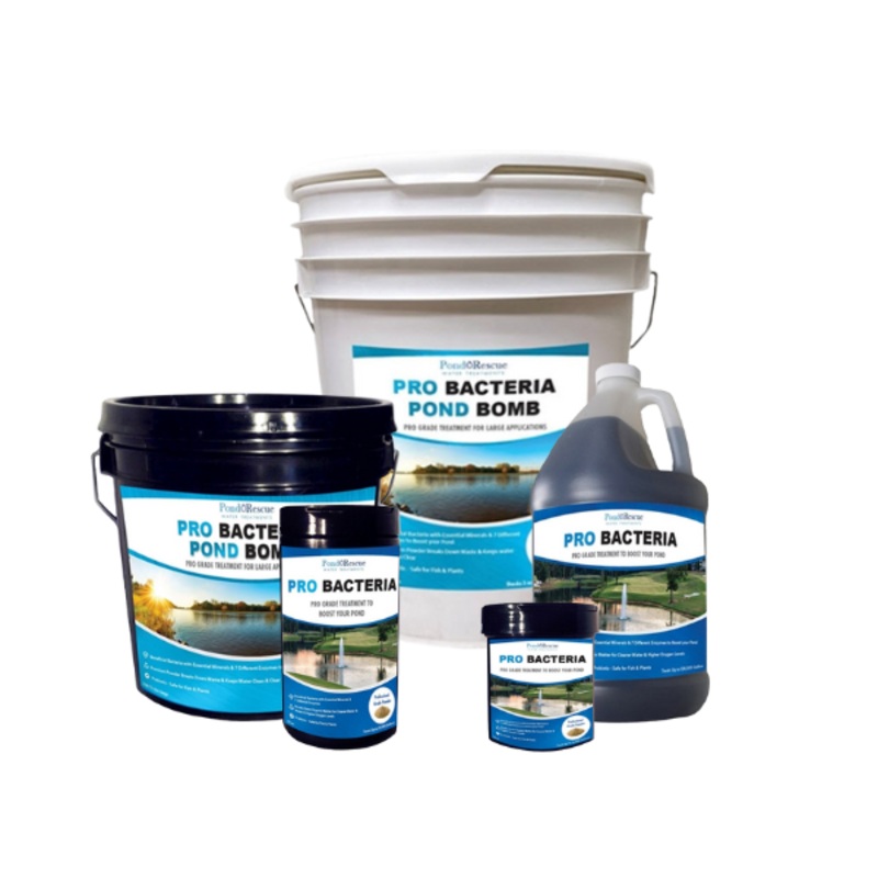 Anjon Pond Rescue Pro Bacteria