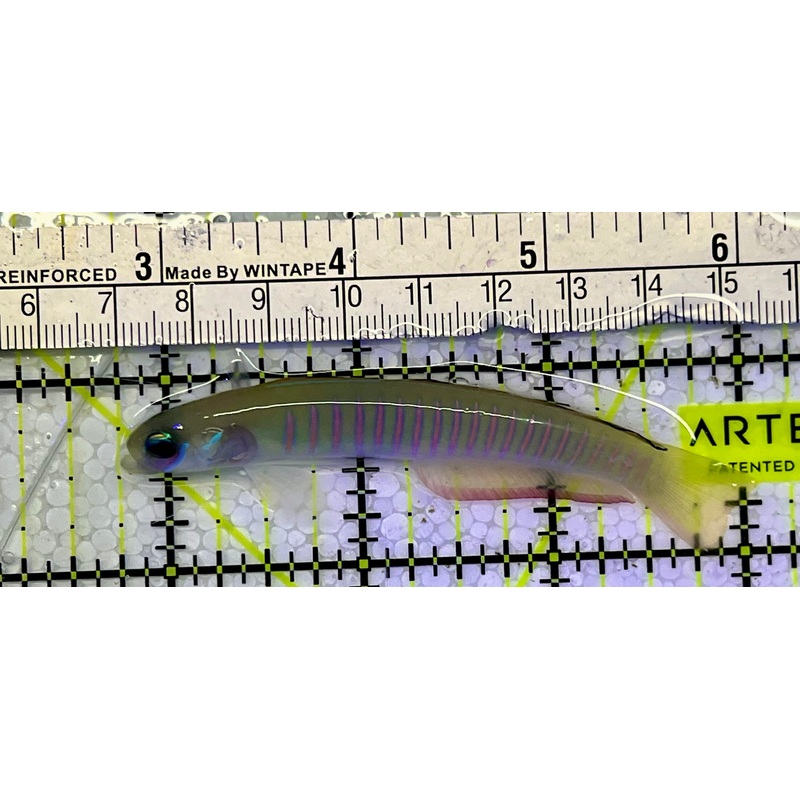 Zebra Barred Dartfish ZBD051501 WYSIWYG Size: 3.25