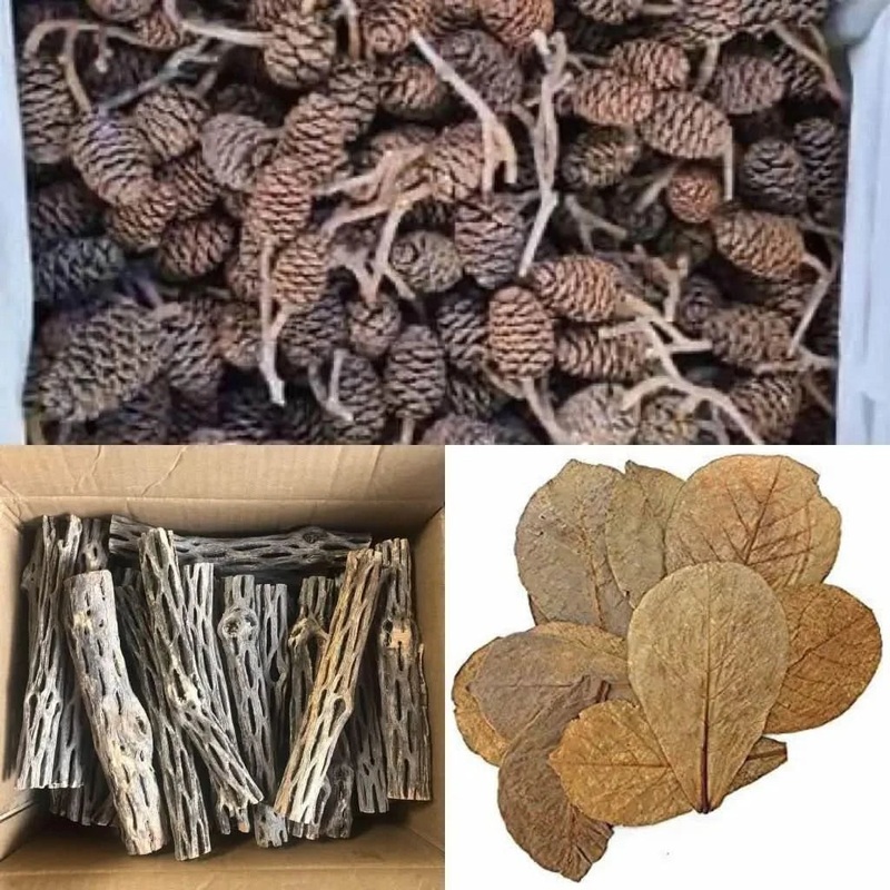 4x Cholla Wood + 12x Alder Cone Pack + 10x Indian Almond Leaves