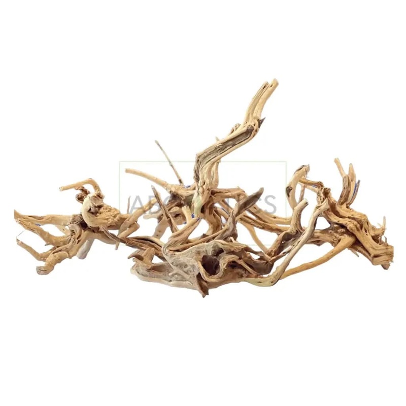 Assorted Spider Wood