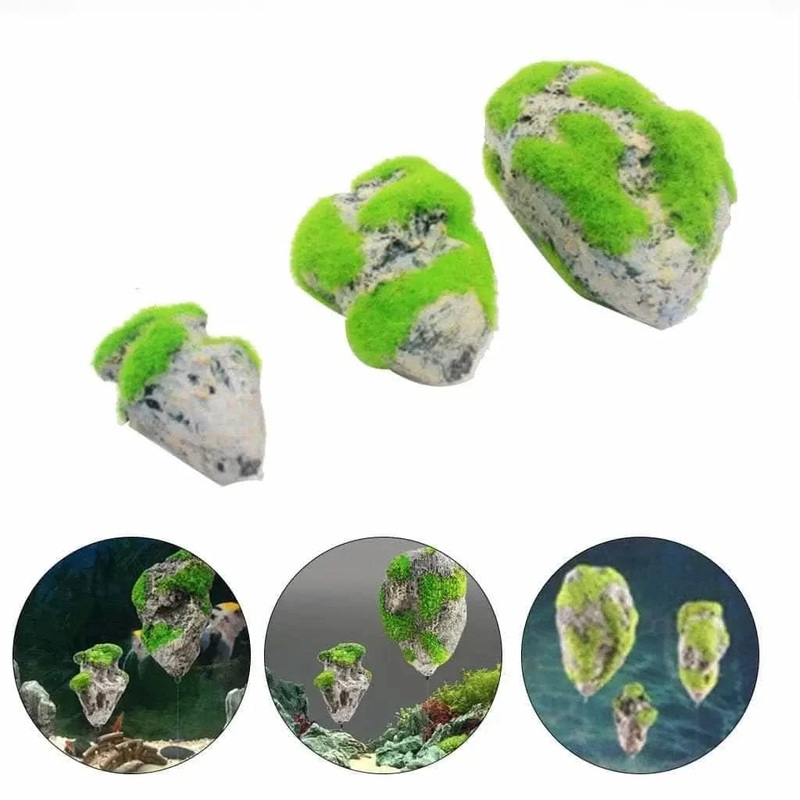 Floating Rock