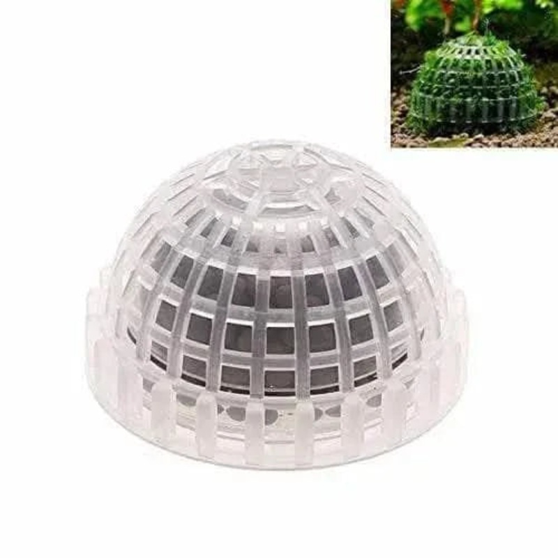 Moss Ball Dome Plastic Holder L(M1)