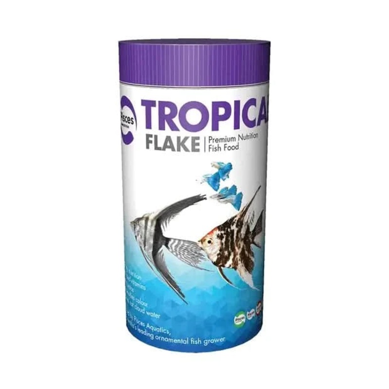 TROPICAL FLAKE 24G - SINGLE